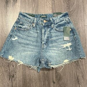🩷Wild Fable Distressed Blue Jean Shorts Grunge Revival Summer Essential